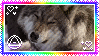 wolf therian